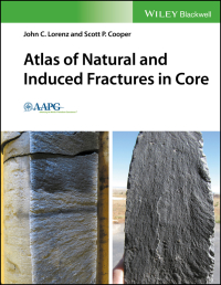 Imagen de portada: Atlas of Natural and Induced Fractures in Core 1st edition 9781119160007