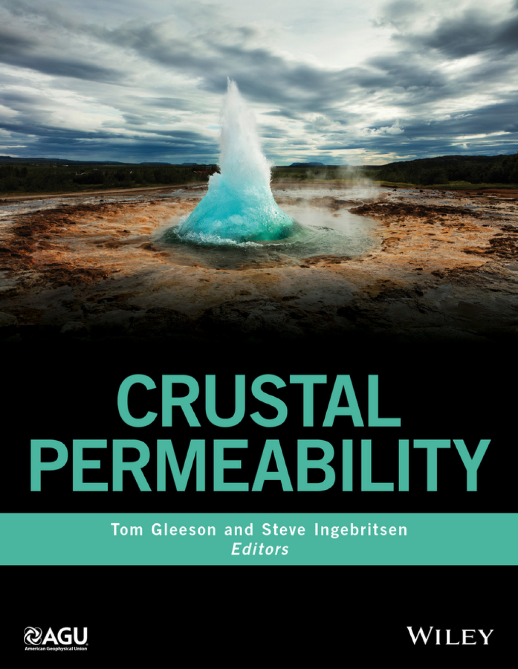 Crustal Permeability 1st Edition