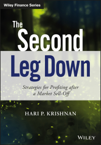 Imagen de portada: The Second Leg Down 1st edition 9781119219088