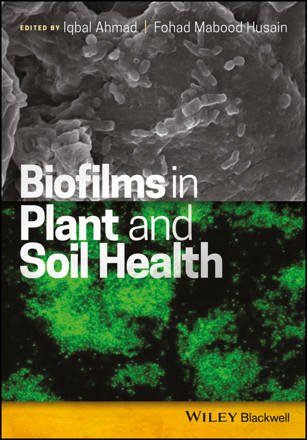 Biofilms in Plant and Soil Health 1st Edition