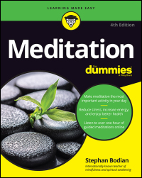 Titelbild: Meditation For Dummies 4th edition 9781119251163