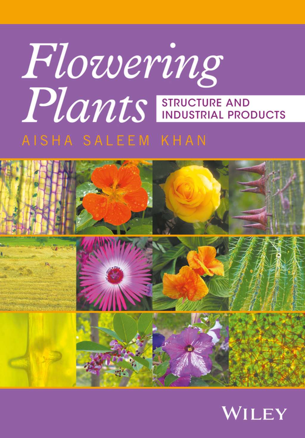 Flowering Plants Structure and Industrial Products 1st Edition