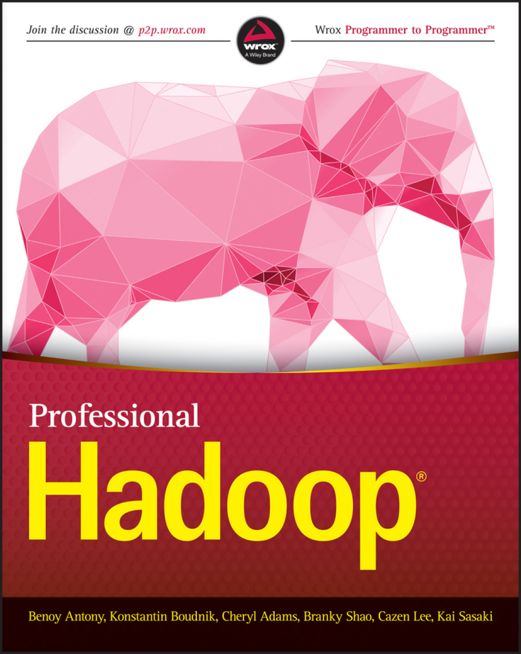 Professional Hadoop 1st Edition