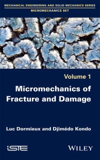 Imagen de portada: Micromechanics of Fracture and Damage 1st edition 9781848218635