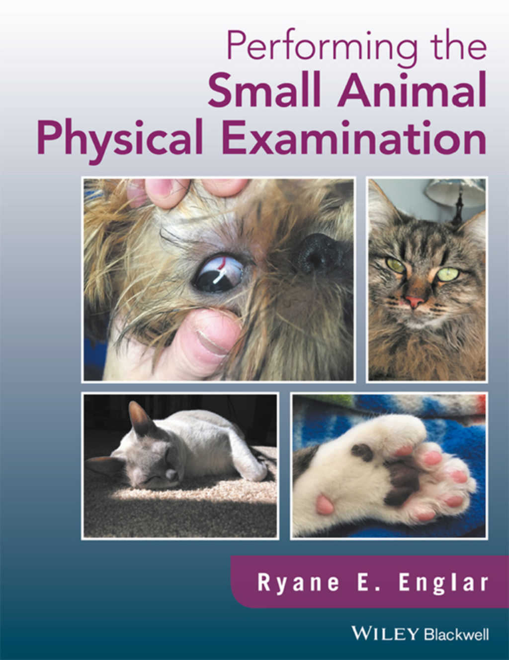Performing the Small Animal Physical Examination - 1st Edition (eBook)