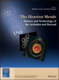 Cover image: The Heaviest Metals 1st edition 9781119304098