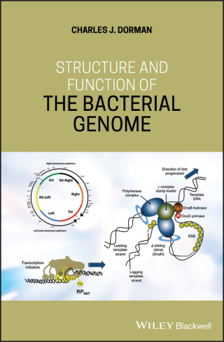 Cover image: Structure and Function of the Bacterial Genome 1st edition 9781119308799