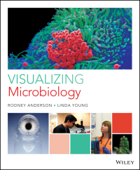 صورة الغلاف: Visualizing Microbiology 1st edition 9781119330035