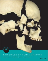 Cover image: Principles of Human Anatomy 14th edition 9781119285038