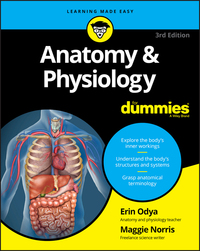 Titelbild: Anatomy and Physiology For Dummies 3rd edition 9781119345237