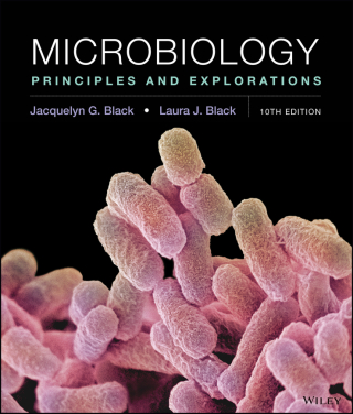 Cover image: Microbiology: Principles and Explorations 10th edition 9781119390107