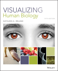 Immagine di copertina: Visualizing Human Biology 5th edition 9781118875742