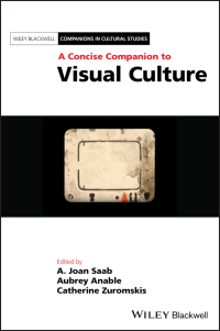 Cover image: A Concise Companion to Visual Culture 1st edition 9781119415404