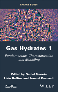 Cover image: Gas Hydrates 1: Fundamentals, Characterization and Modeling 1st edition 9781848219694