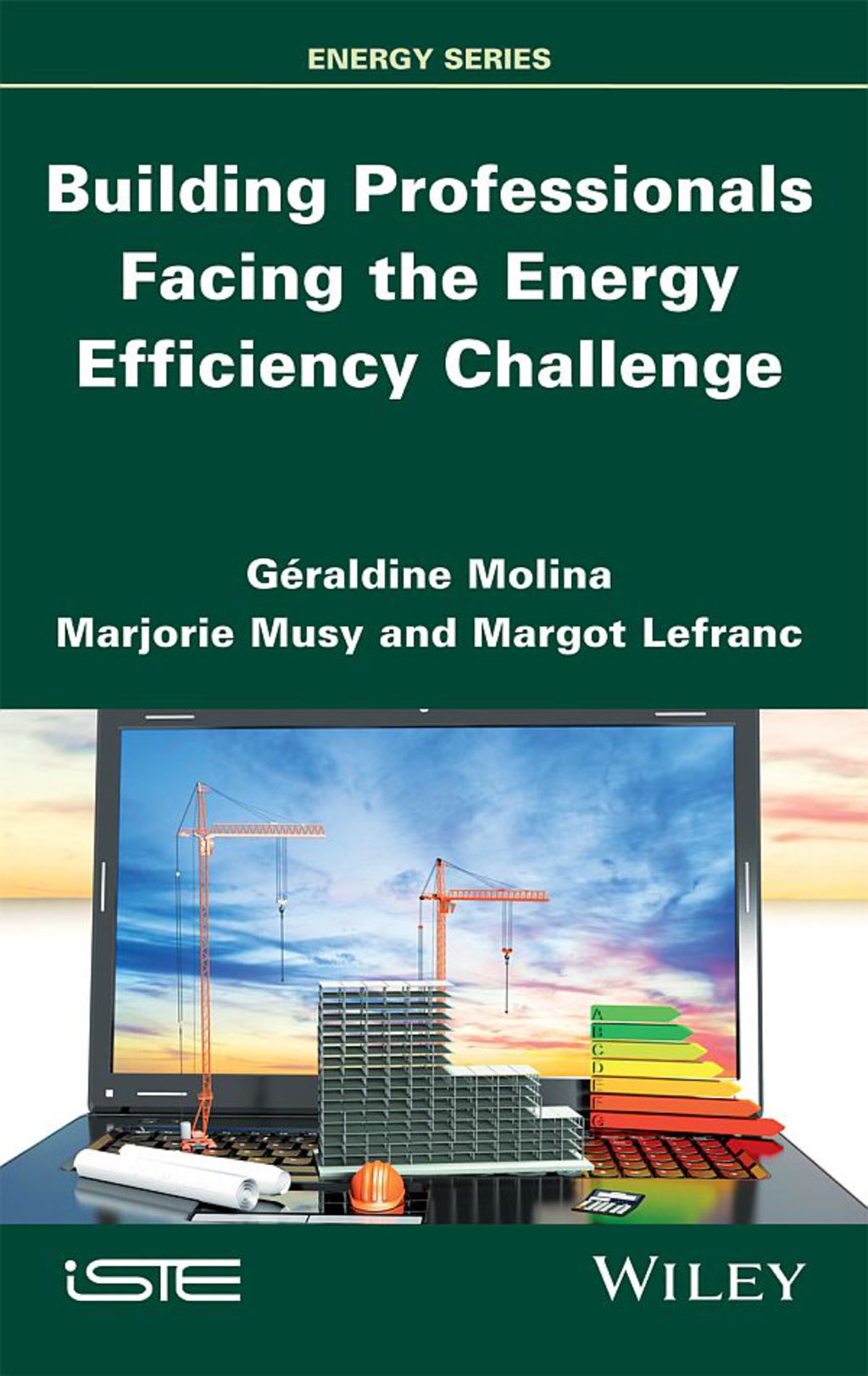 Building Professionals Facing the Energy Efficiency Challenge 1st Edition