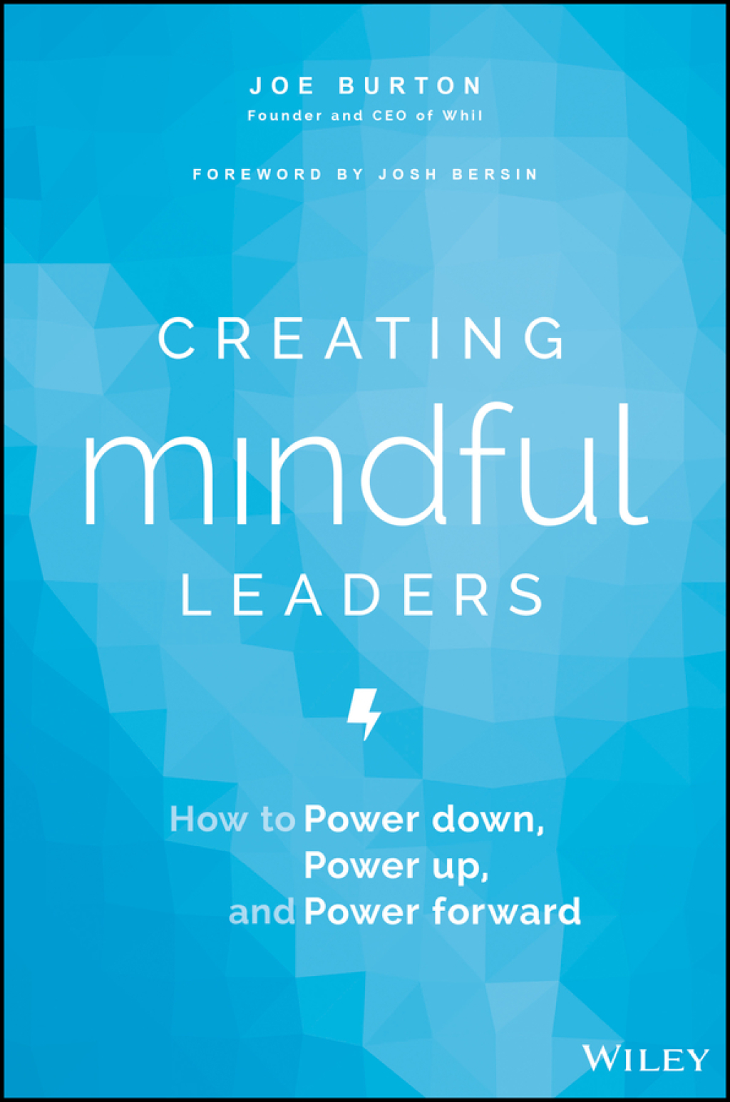 Creating Mindful Leaders: How to Power Down, Power Up, and Power Forward 1st Edition