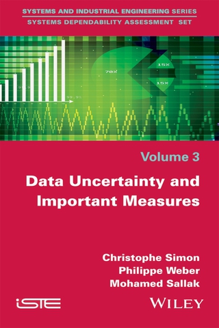 Cover image: Data Uncertainty and Important Measures 1st edition 9781848219939