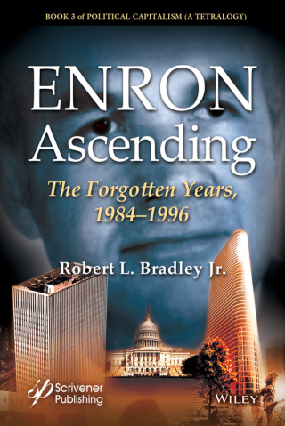 Cover image: Enron Ascending: The Forgotten Years, 1984-1996 1st edition 9781118549575