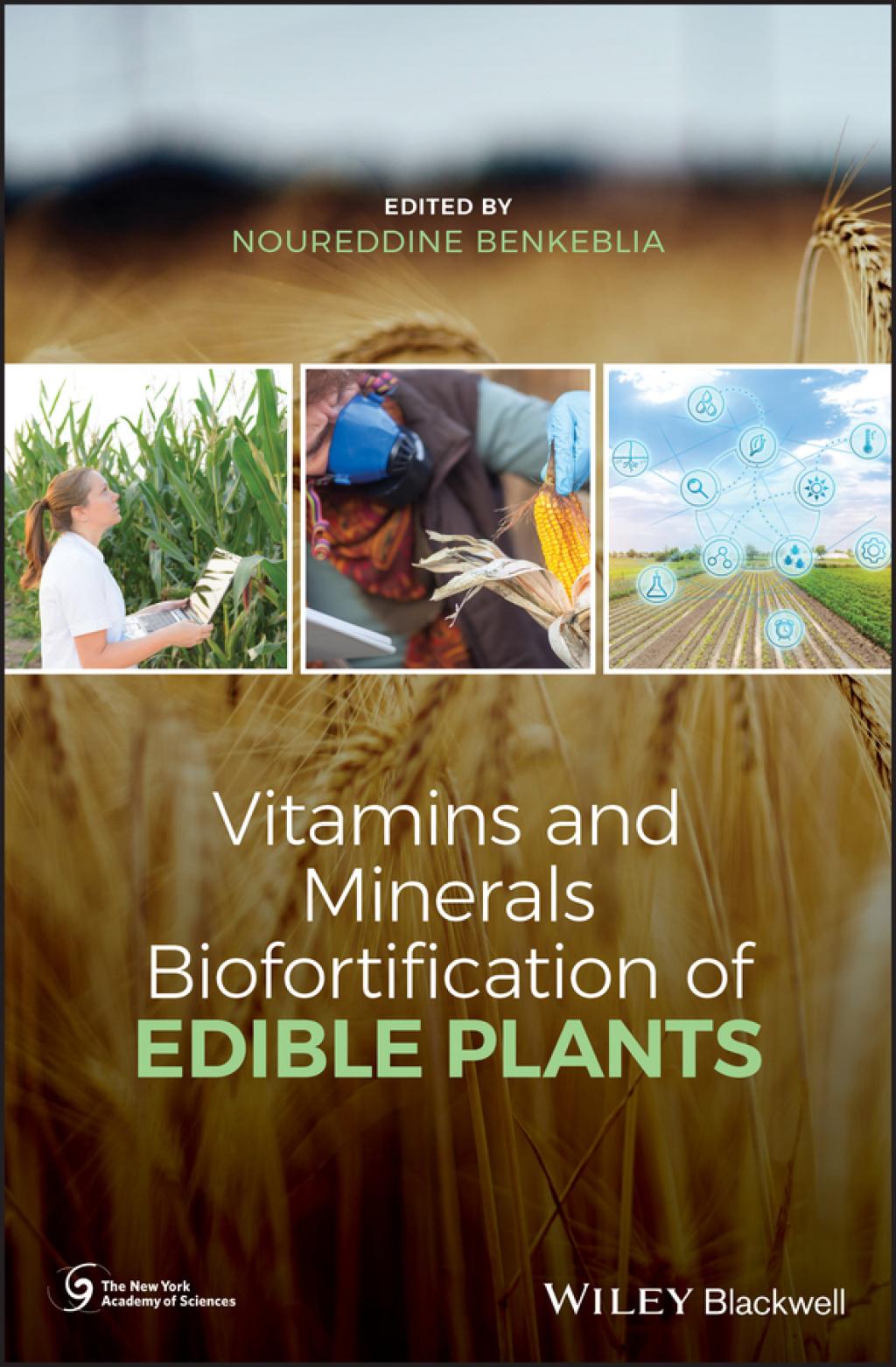 Vitamins and Minerals Biofortification of Edible Plants  1st Edition eBook