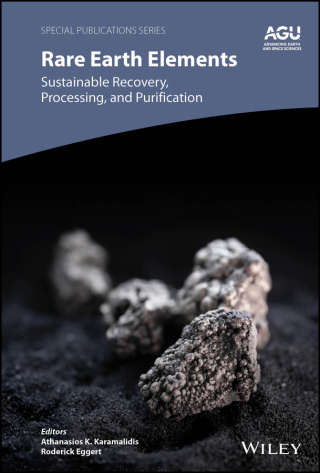 Imagen de portada: Rare Earth Elements 1st edition 9781119515036
