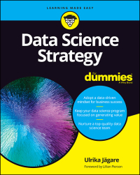 صورة الغلاف: Data Science Strategy For Dummies 1st edition 9781119566250