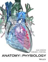 Imagen de portada: Anatomy and Physiology 1st edition 9781119240396