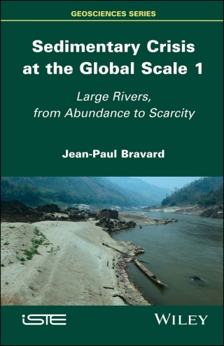 表紙画像: Sedimentary Crisis at the Global Scale 1 1st edition 9781786303837