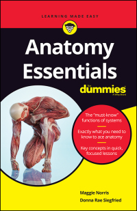 Imagen de portada: Anatomy Essentials For Dummies 1st edition 9781119590156