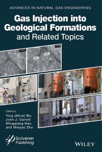 Cover image: Gas Injection into Geological Formations and Related Topics 1st edition 9781119592068