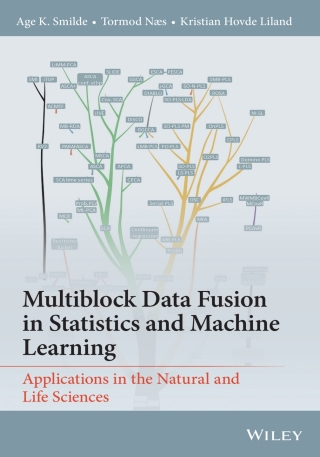 Cover image: Multiblock Data Fusion in Statistics and Machine Learning 1st edition 9781119600961
