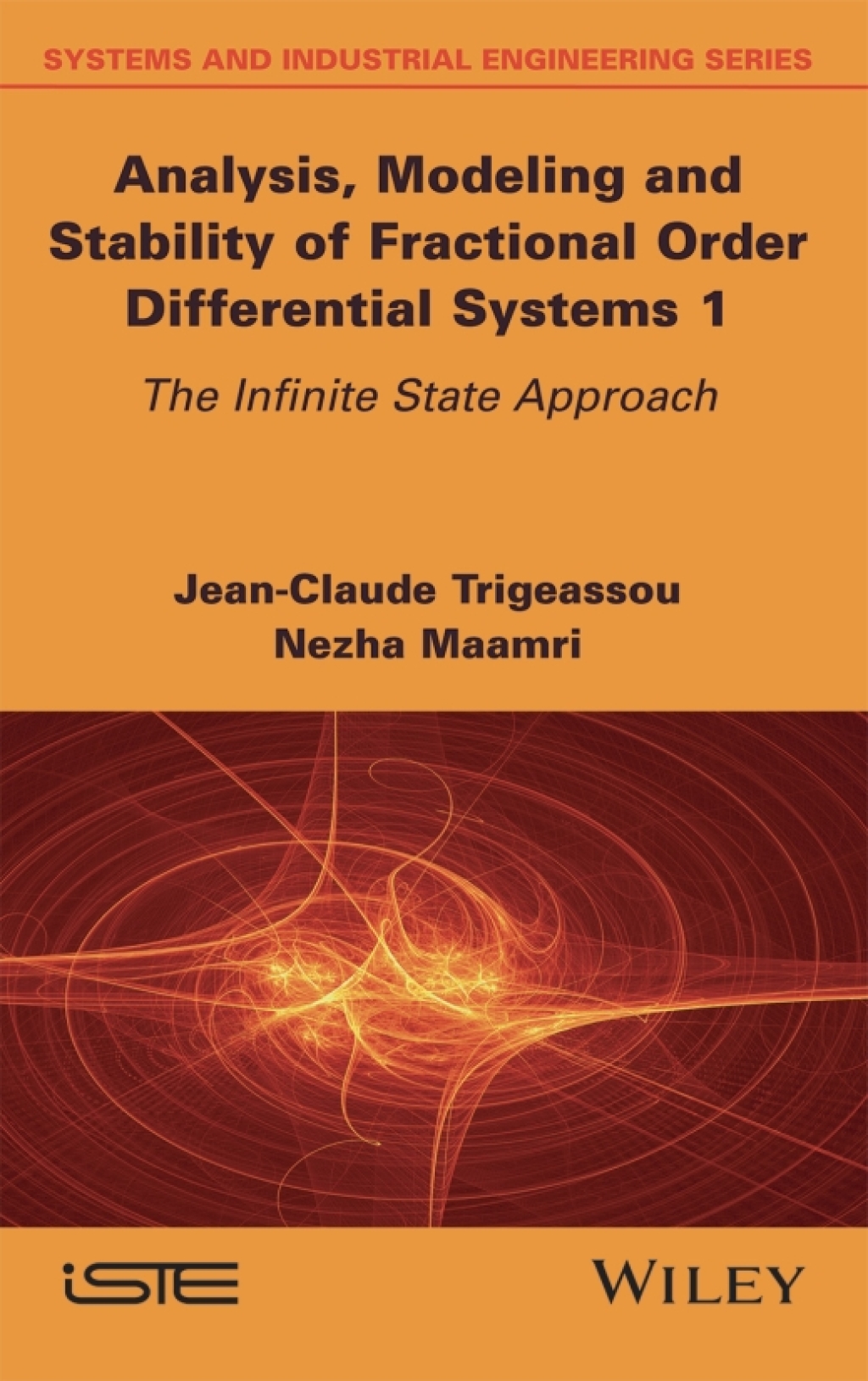 Analysis, Modeling and Stability of Fractional Order Differential Systems 1 The Infinite State Approach 1st Edition