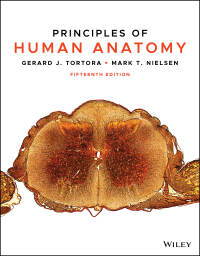 Cover image: Principles of Human Anatomy 15th edition 9781119662761