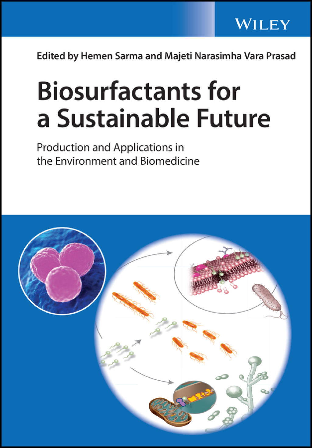 Biosurfactants for a Sustainable Future Production and Applications in the Environment and Biomedicine 1st Edition