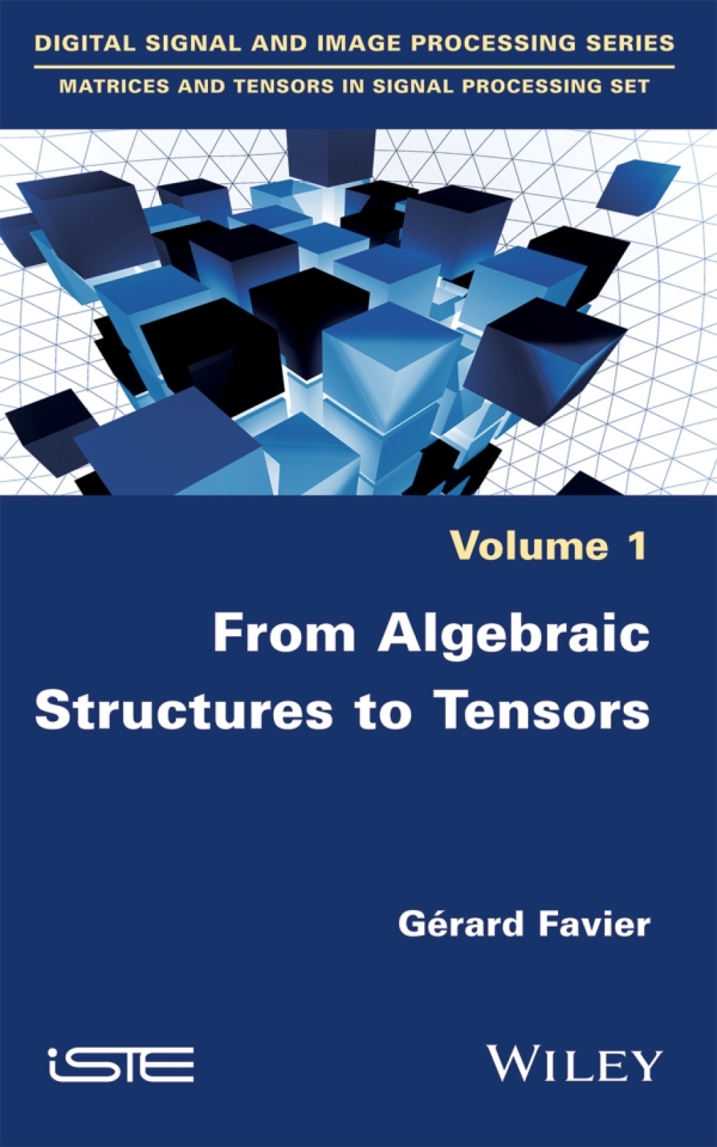 From Algebraic Structures to Tensors 1st Edition