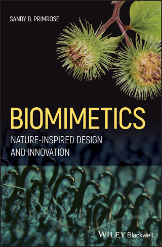 Immagine di copertina: Biomimetics 1st edition 9781119683322