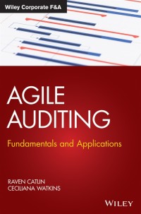Cover image: Agile Auditing 1st edition 9781119693321