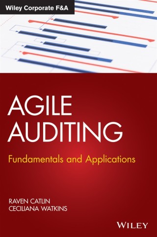 Cover image: Agile Auditing 1st edition 9781119693321