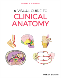 Imagen de portada: A Visual Guide to Clinical Anatomy 1st edition 9781119708100