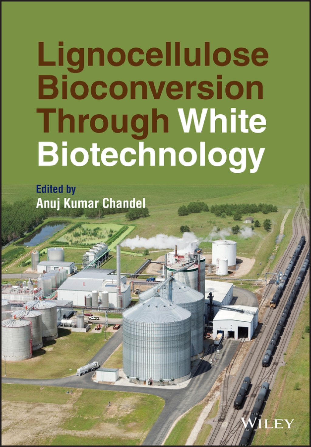 Lignocellulose Bioconversion Through White Biotechnology 1st Edition
