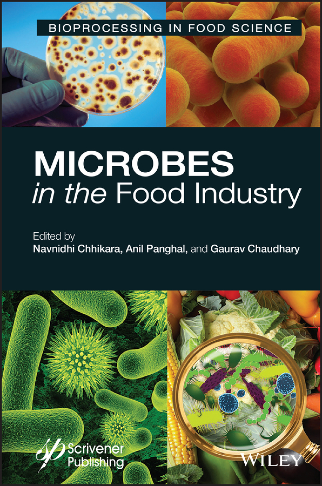 Microbes in the Food Industry 1st Edition