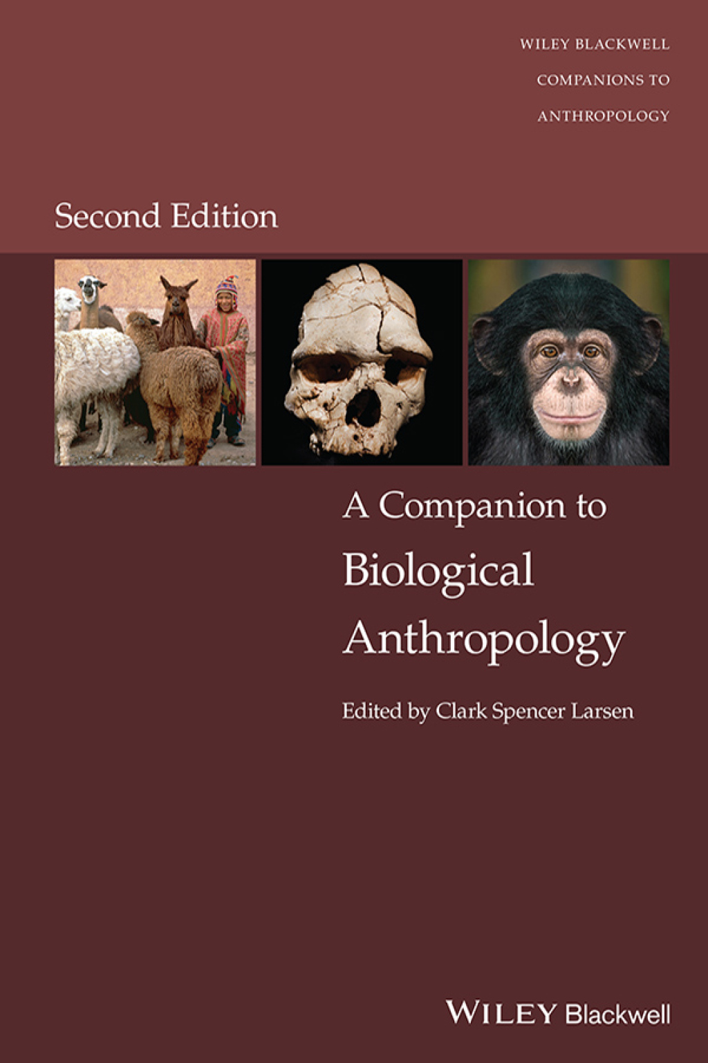 A Companion to Biological Anthropology 2nd Edition