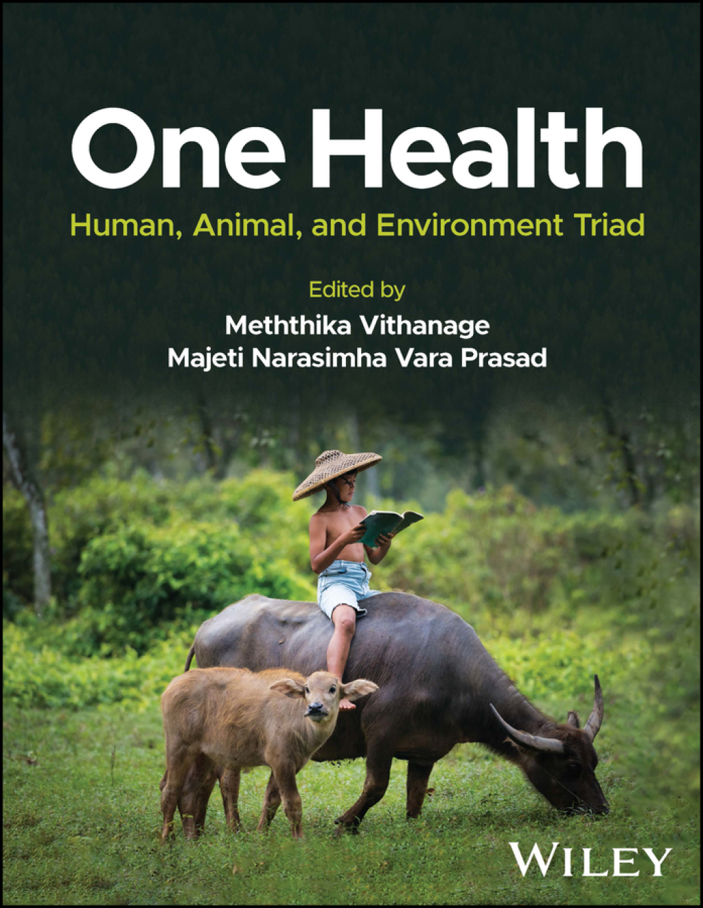 One Health Human, Animal, and Environment Triad 1st Edition