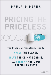 Cover image: Pricing the Priceless 1st edition 9781119913801