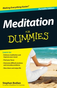 Cover image: Meditation For Dummies, Portable Edition 1st edition 9781119945628