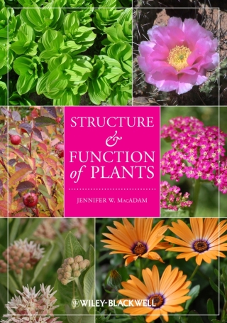 Titelbild: Structure and Function of Plants 1st edition 9780813827186