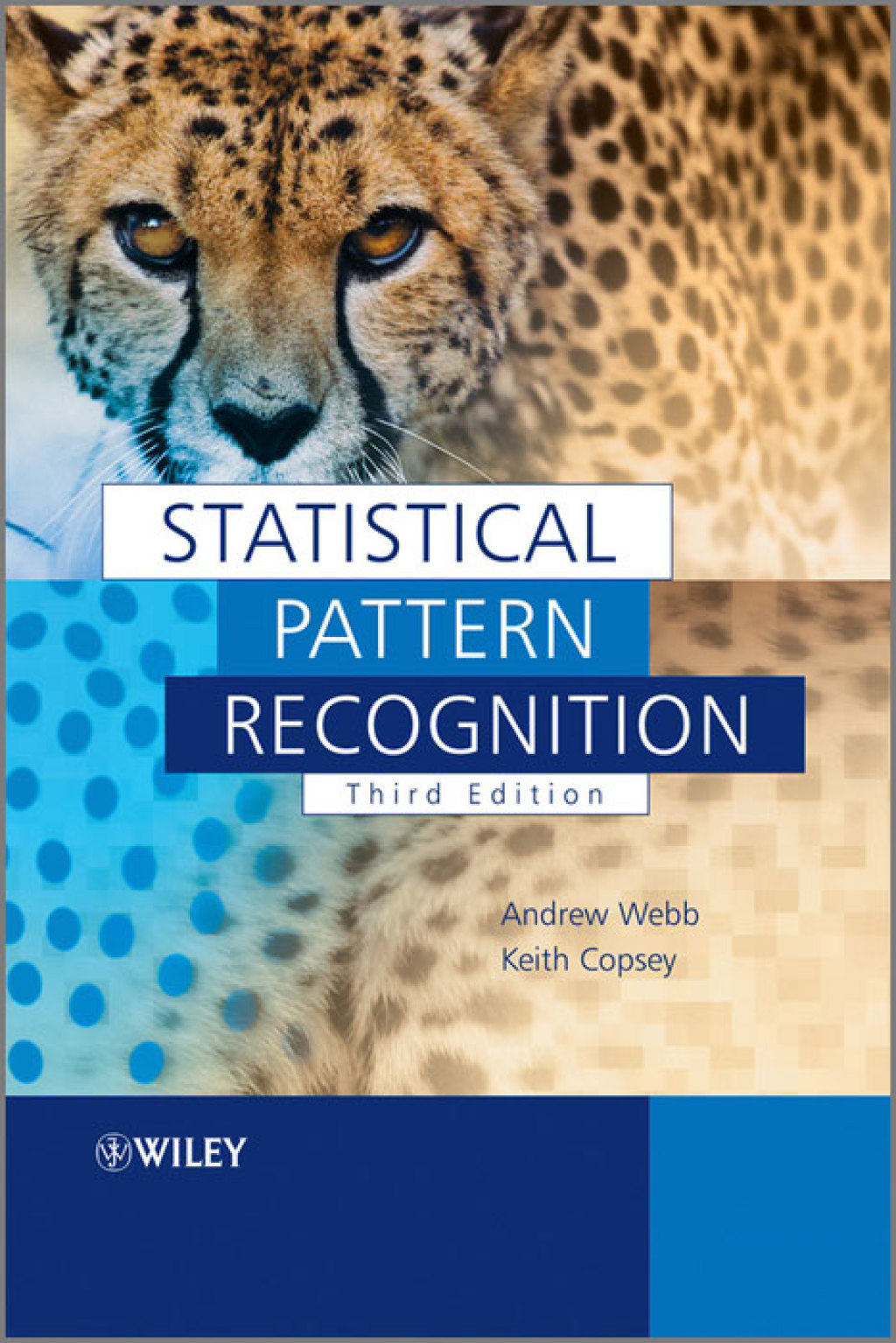 Statistical Pattern Recognition - 3rd Edition (eBook)