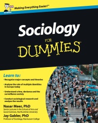 Imagen de portada: Sociology For Dummies, UK Edition 1st edition 9781119991342