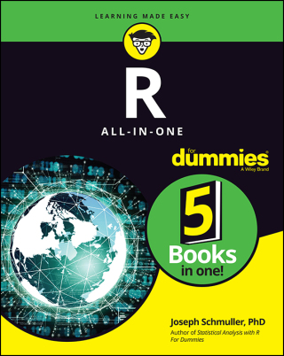 Cover image: R All-in-One For Dummies 1st edition 9781119983699
