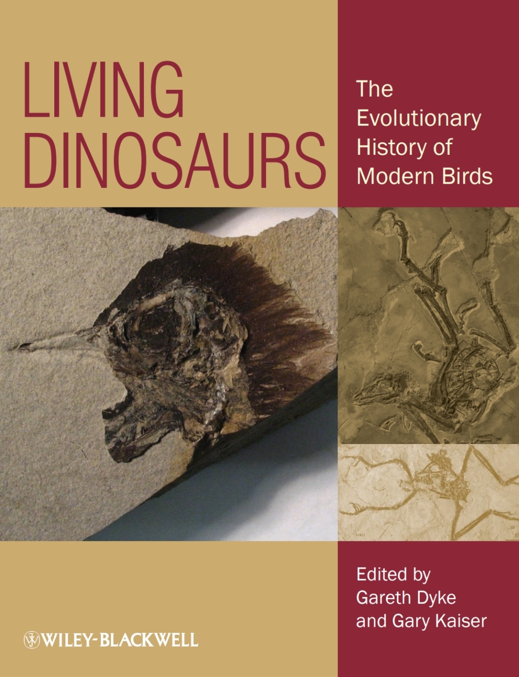 Living Dinosaurs: The Evolutionary History of Modern Birds The Evolutionary History of Modern Birds 1st Edition