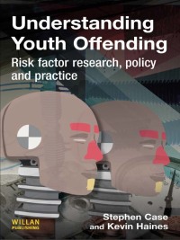 Cover image: Understanding Youth Offending 1st edition 9781843923428
